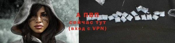PSILOCYBIN Бердск