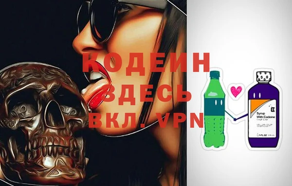 индика Баксан