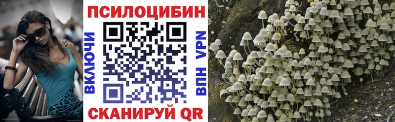 Псилоцибиновые грибы GOLDEN TEACHER  наркошоп  Бахчисарай 